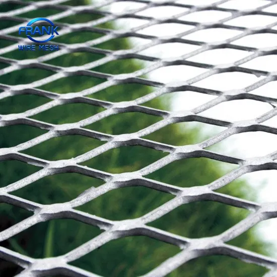Grillage augmenté en métal/grillage augmenté par plat tiré pour la maille de barrière de zoo de passage couvert