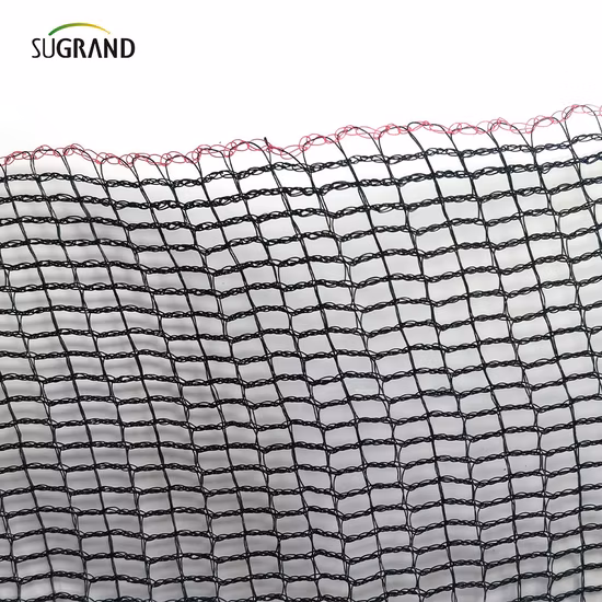 Filet de sécurité de clôture de débris de bâtiment bleu durable et doux